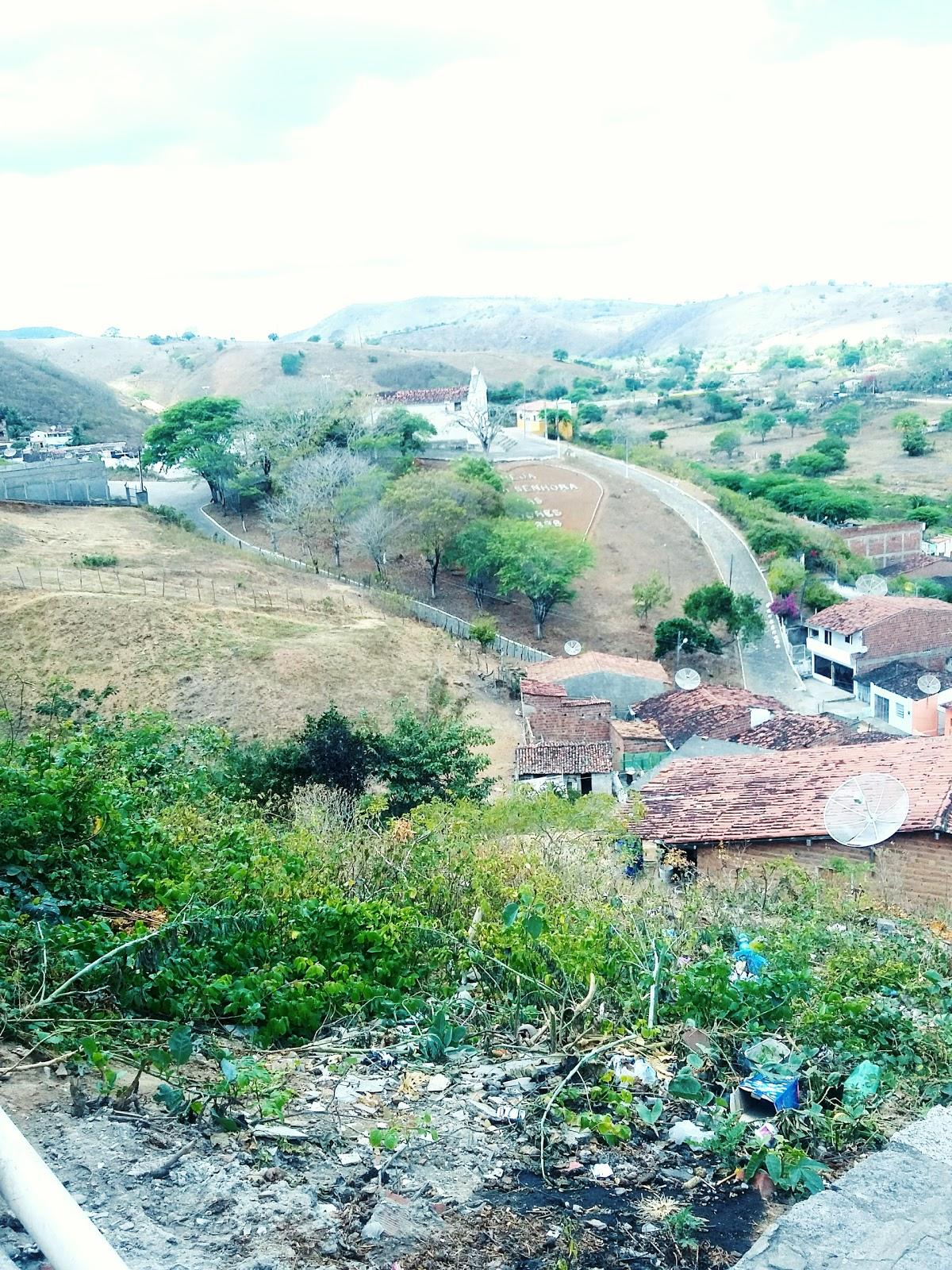 Registro de Marca Salgadinho