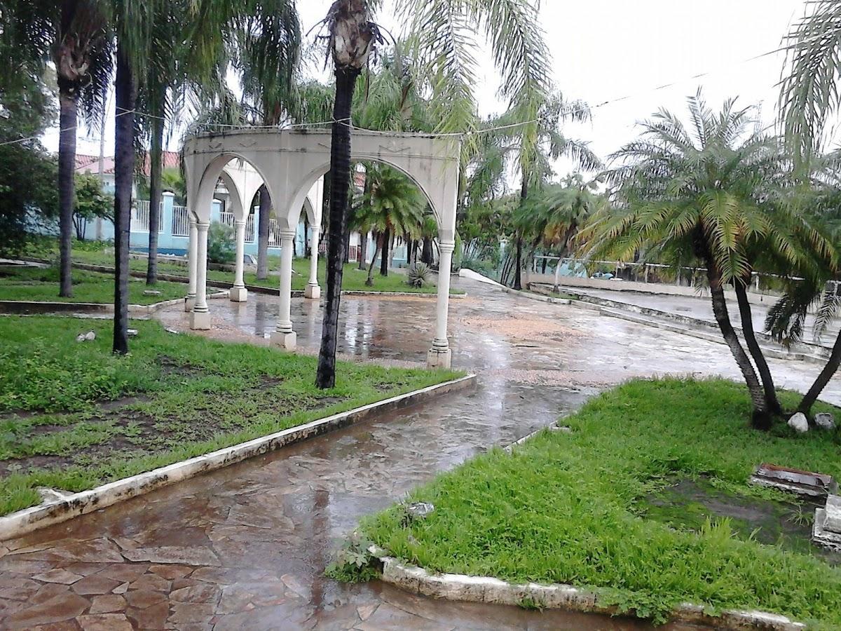 Registro de Marca Salinas