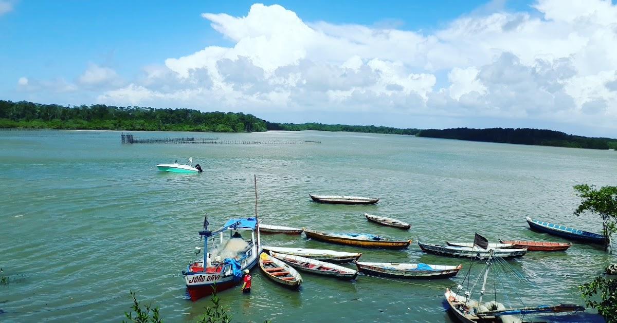 Registro de Marca Salinópolis