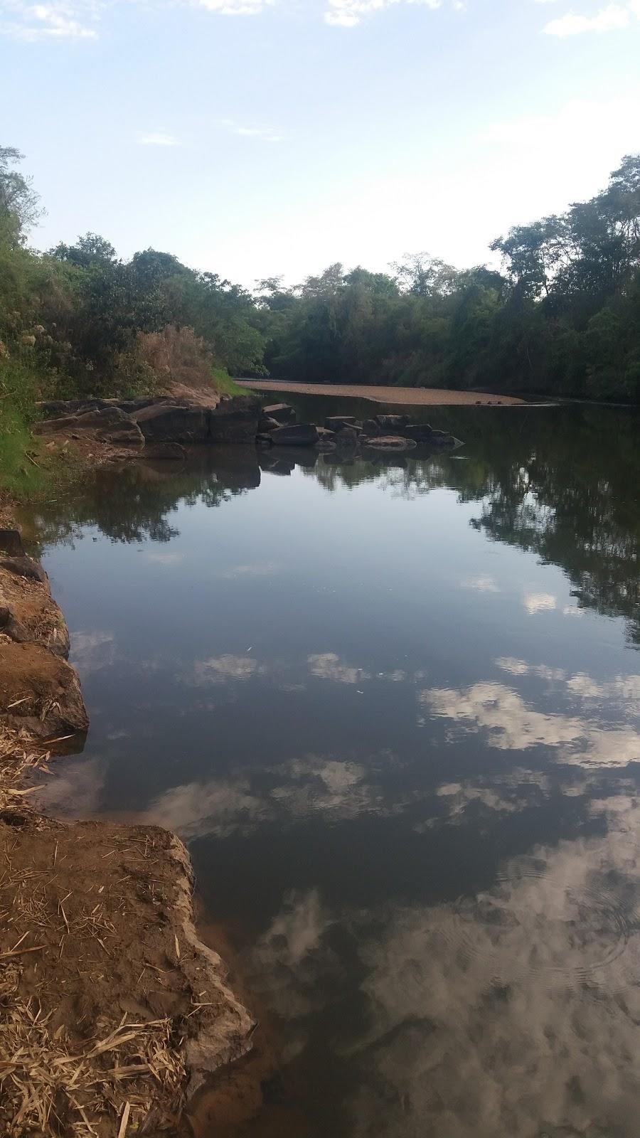 Registro de Marca Santa Cruz de Goiás