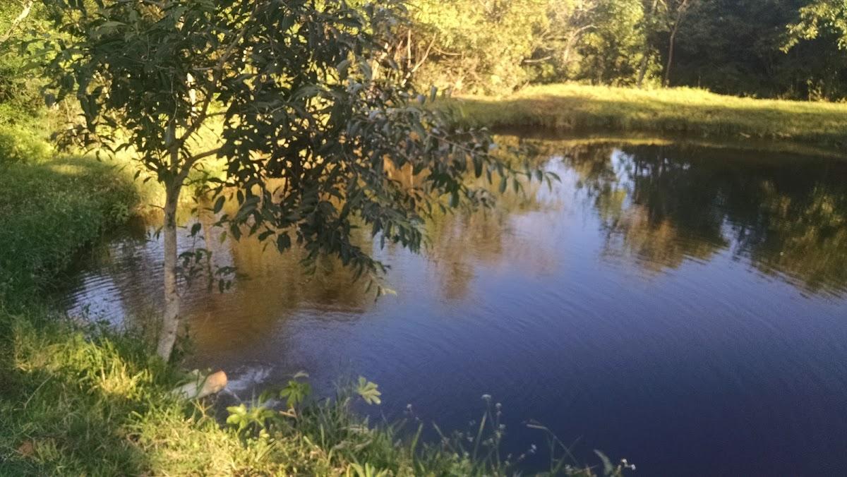 Registro de Marca Santa Fé