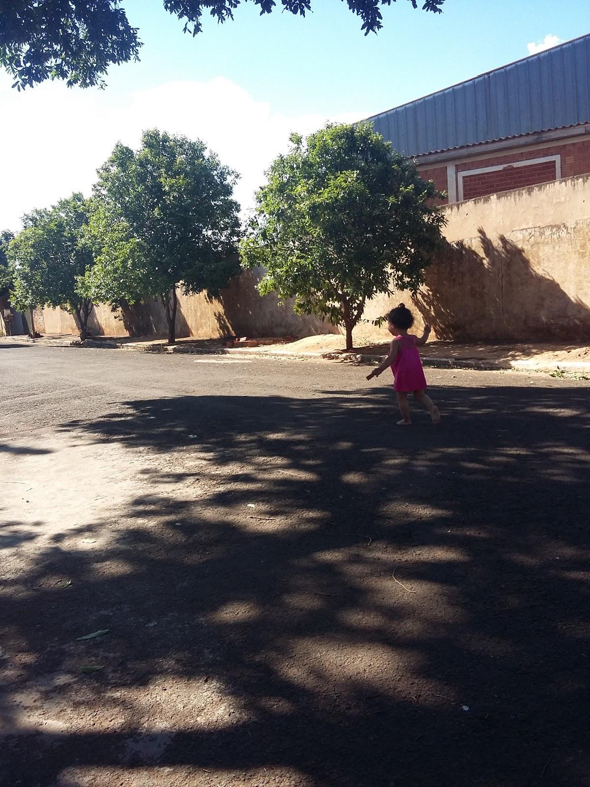 Registro de Marca Santa Inês