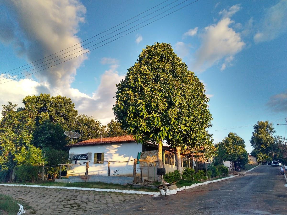 Registro de Marca Santa Isabel