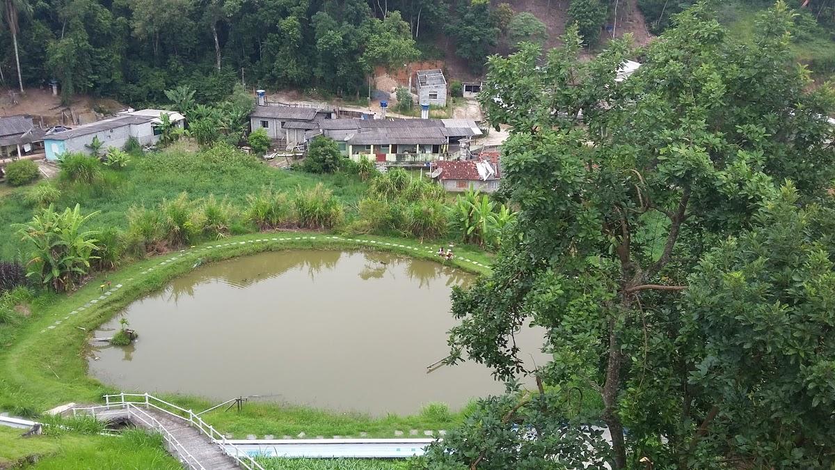 Registro de Marca Santa Isabel