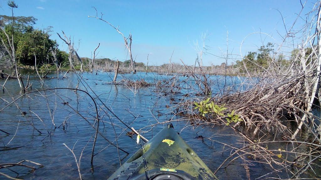 Registro de Marca Santa Maria do Tocantins