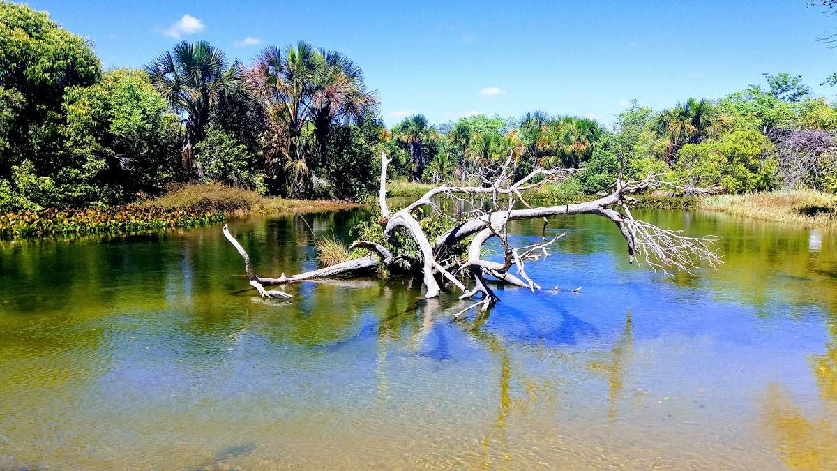 Registro de Marca Santa Rita de Cássia