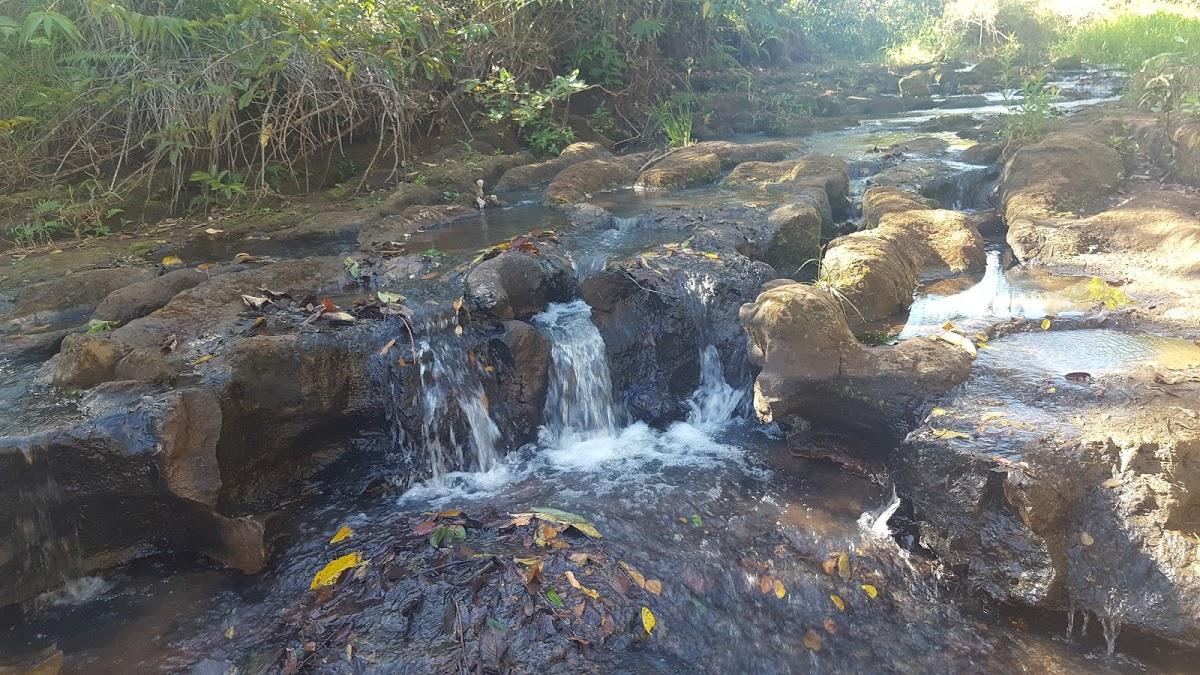 Registro de Marca Santa Salete