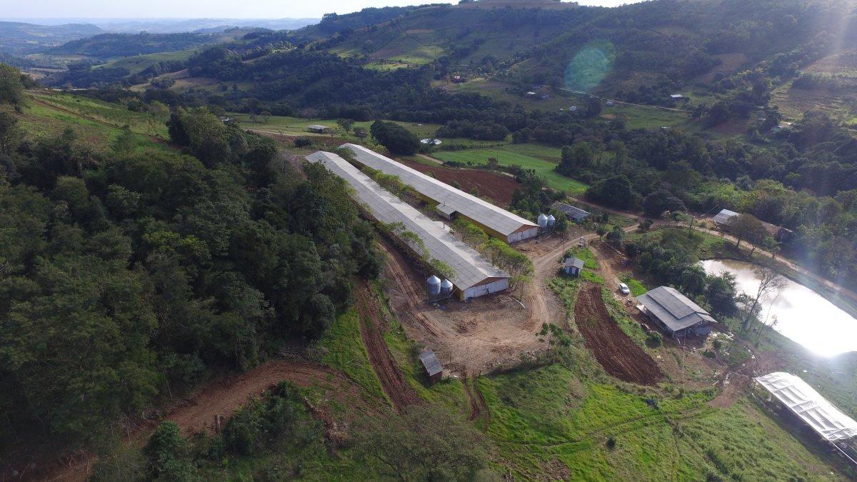 Registro de Marca Santa Terezinha do Progresso