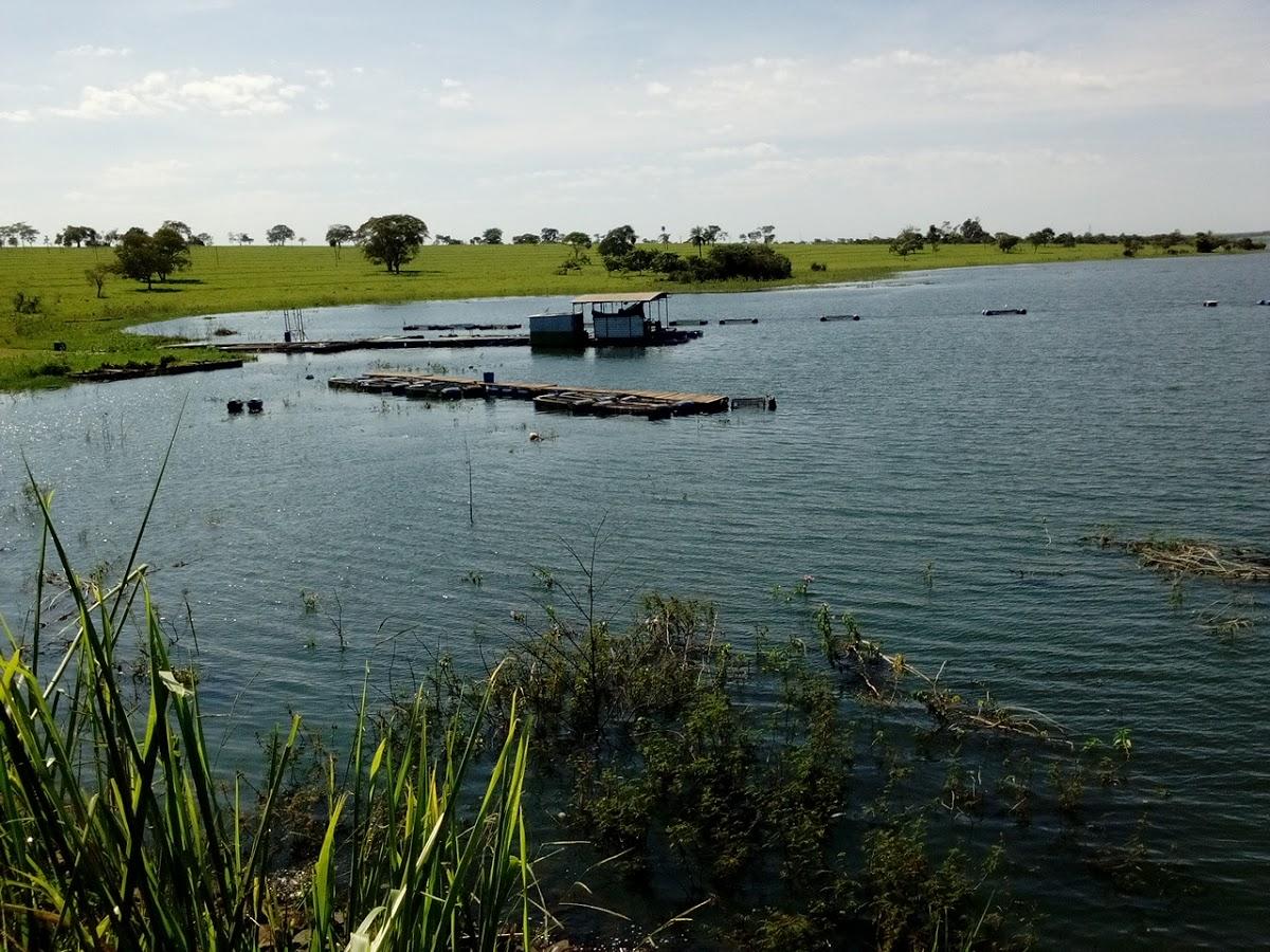 Registro de Marca Santana da Ponte Pensa
