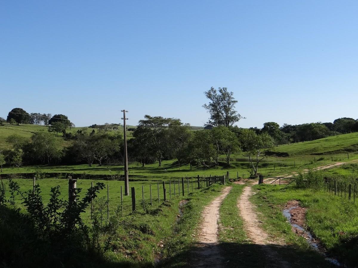 Registro de Marca Santo Anastácio