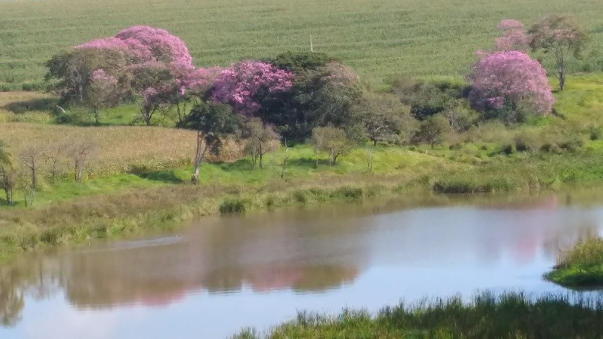 Registro de Marca Santo Antônio do Jardim