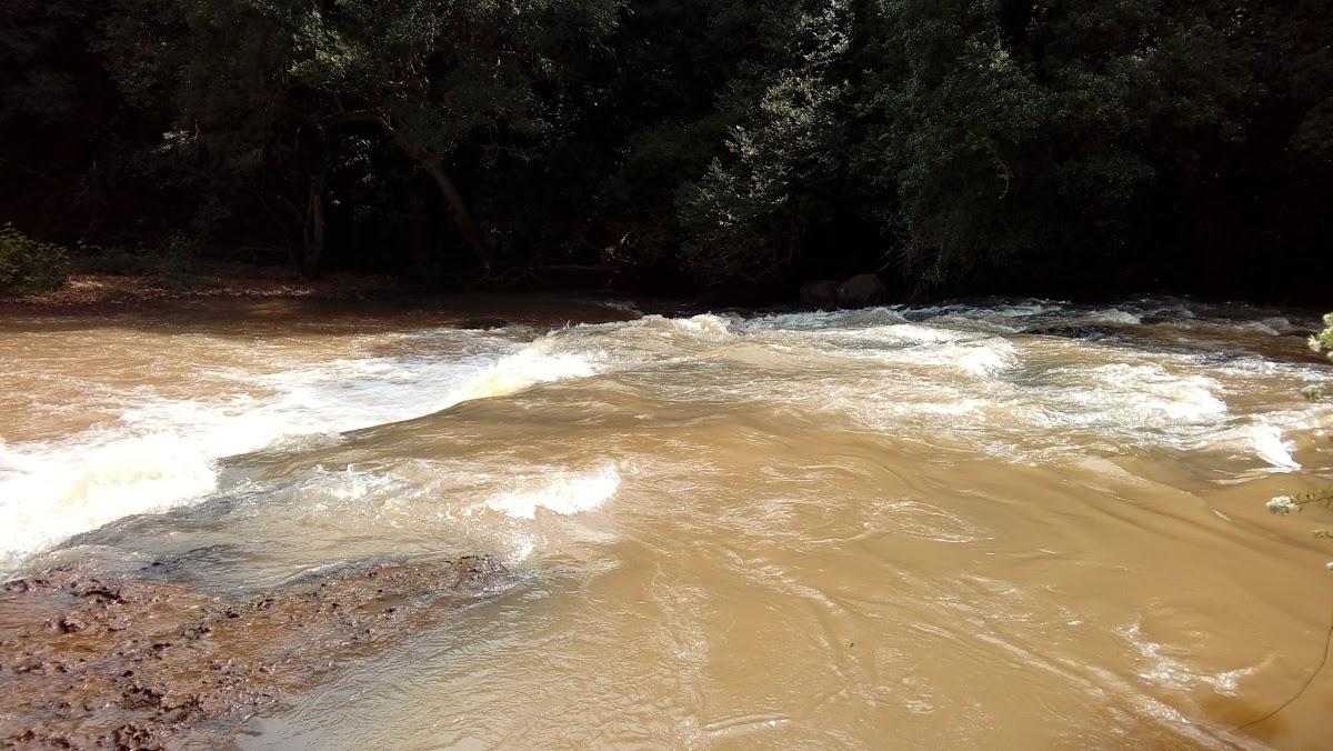 Registro de Marca Santo Antônio do Planalto