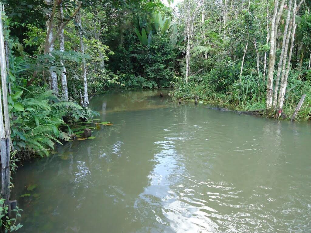Registro de Marca Santo Antônio do Tauá