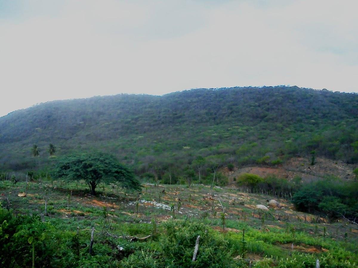 Registro de Marca São Bento do Trairí