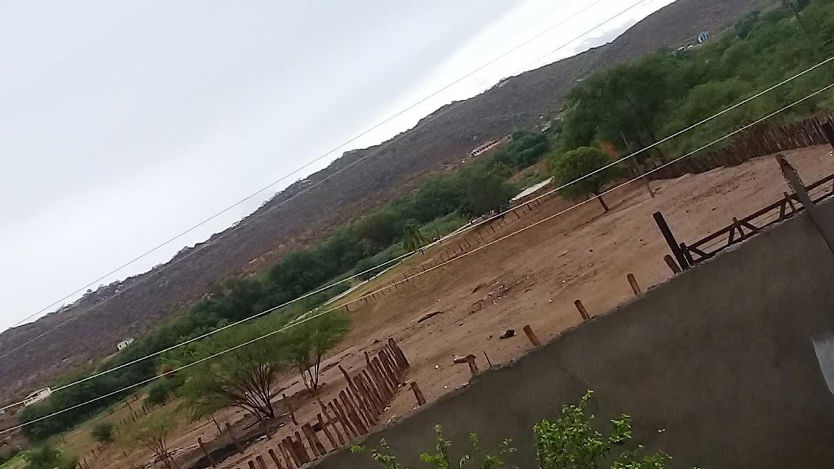 Registro de Marca São Domingos do Cariri