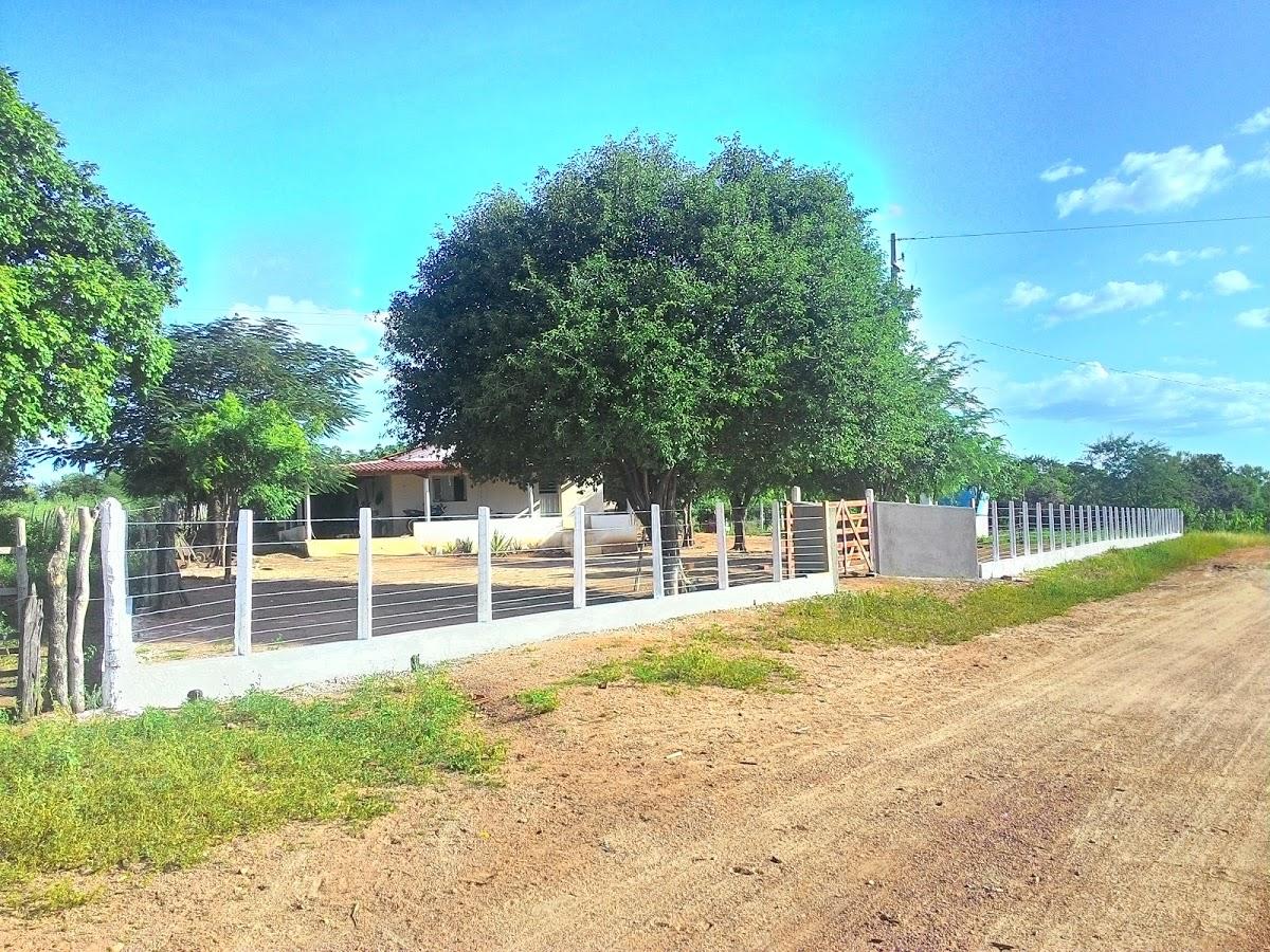 Registro de Marca São Domingos