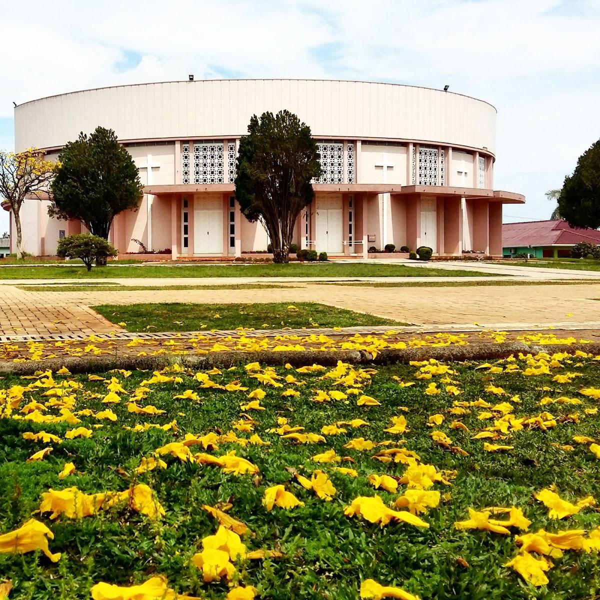 Registro de Marca São Domingos