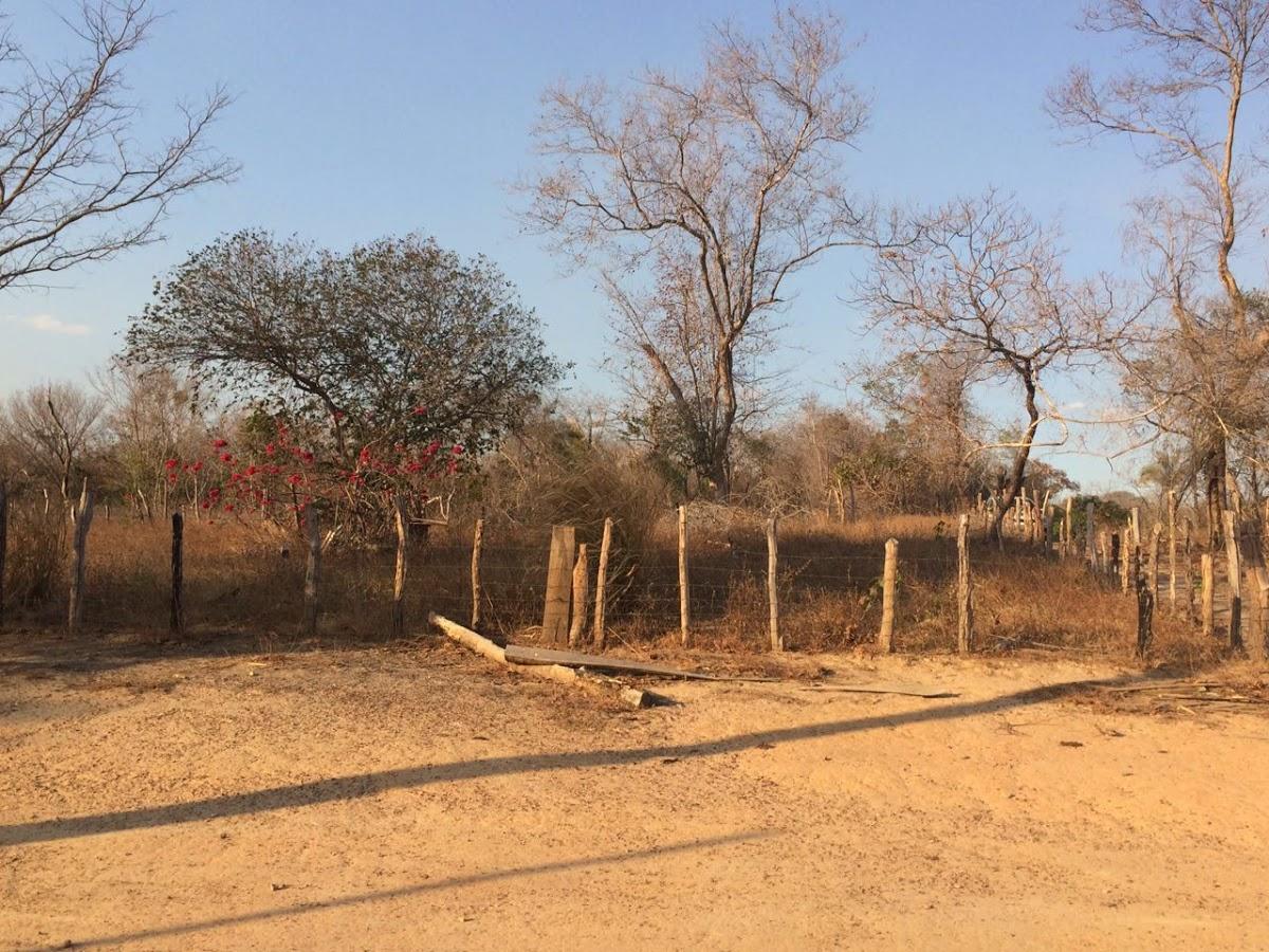 Registro de Marca São Félix de Balsas