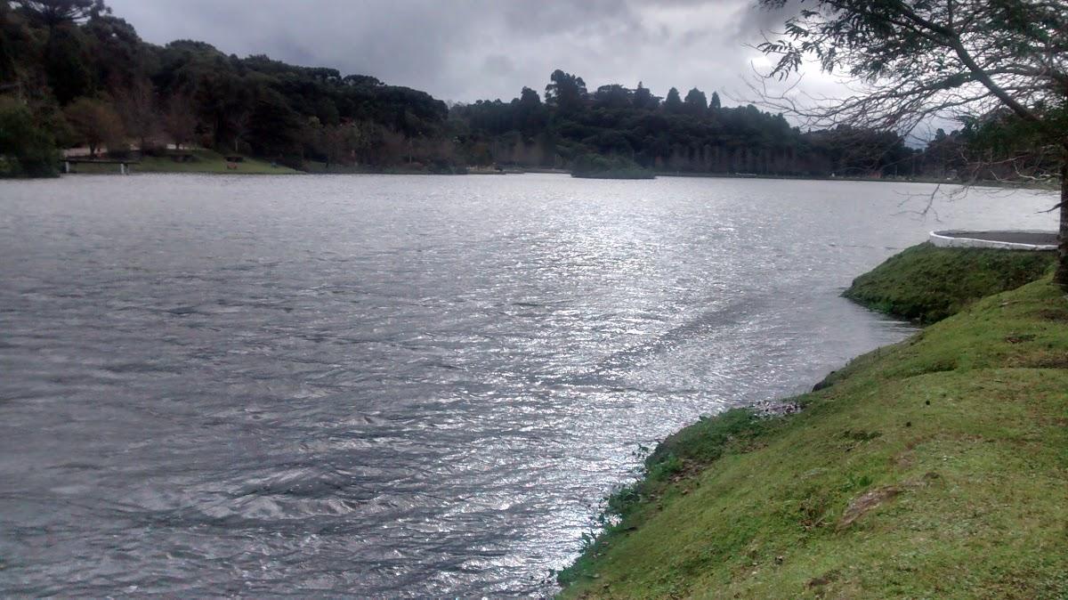 Registro de Marca São Francisco de Paula