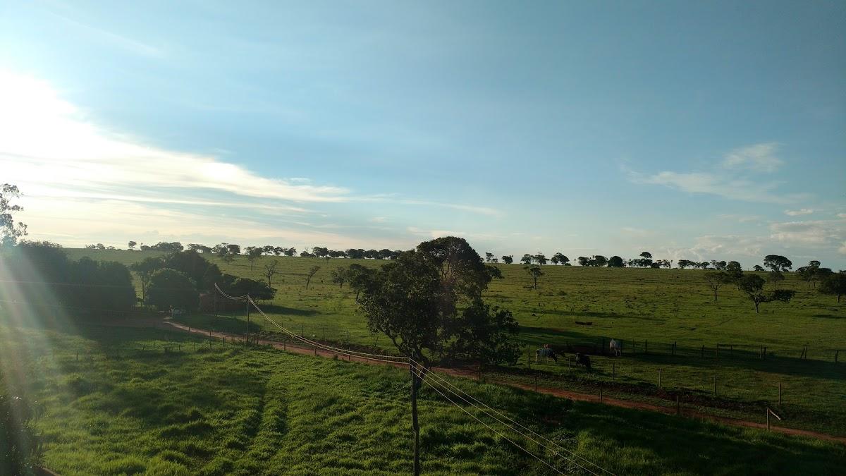 Registro de Marca São Francisco de Sales