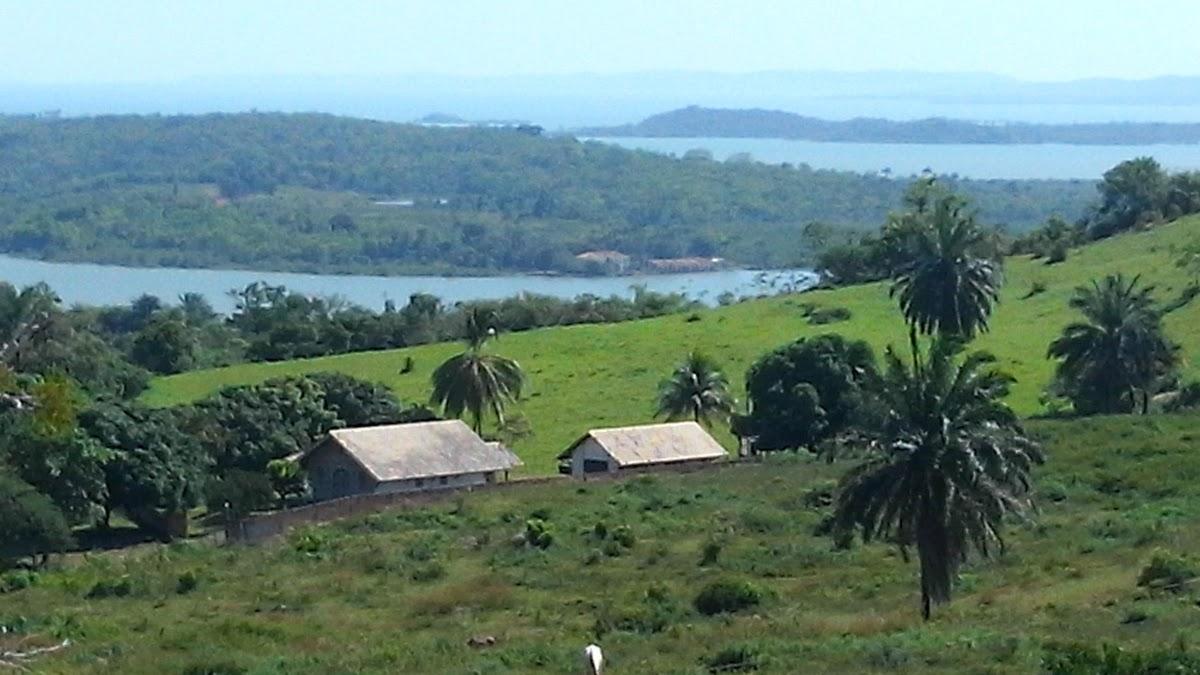 Registro de Marca São Francisco do Conde