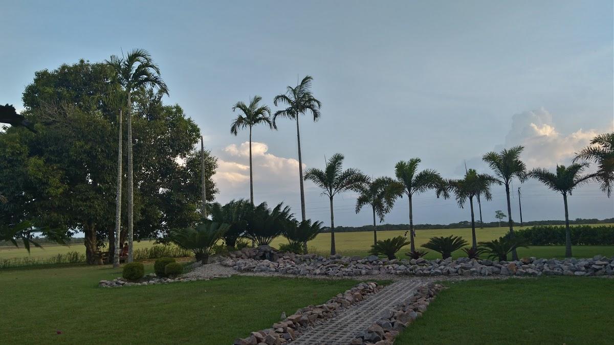 Registro de Marca São Francisco do Pará