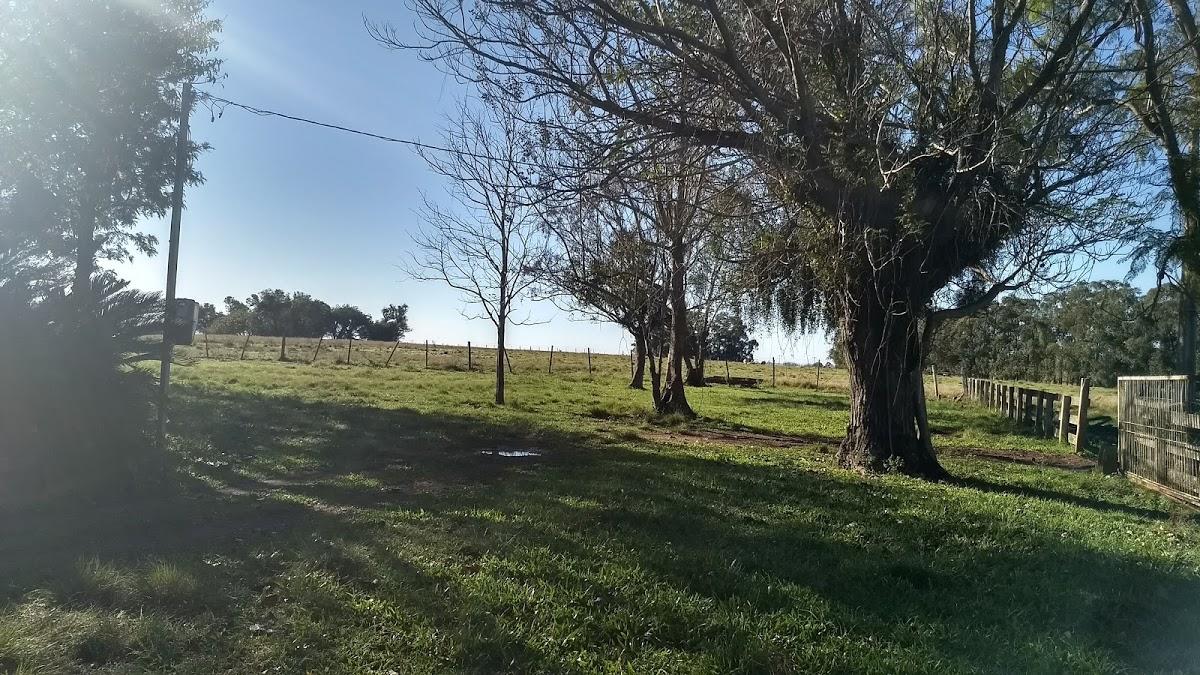 Registro de Marca São Gabriel