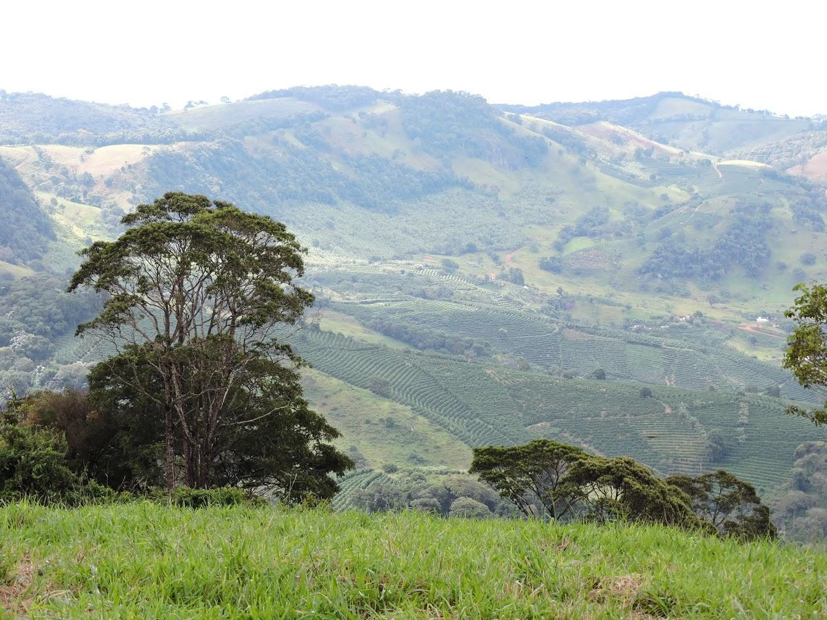 Registro de Marca São João da Mata