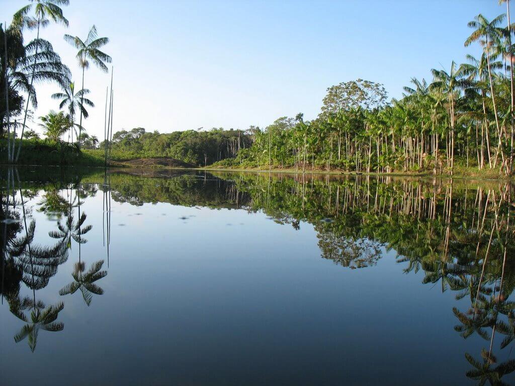 Registro de Marca São João da Ponta