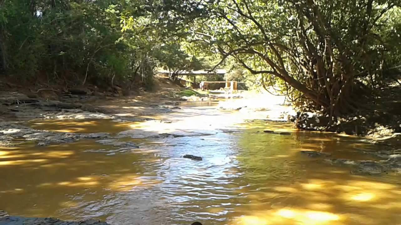 Registro de Marca São João da Ponte