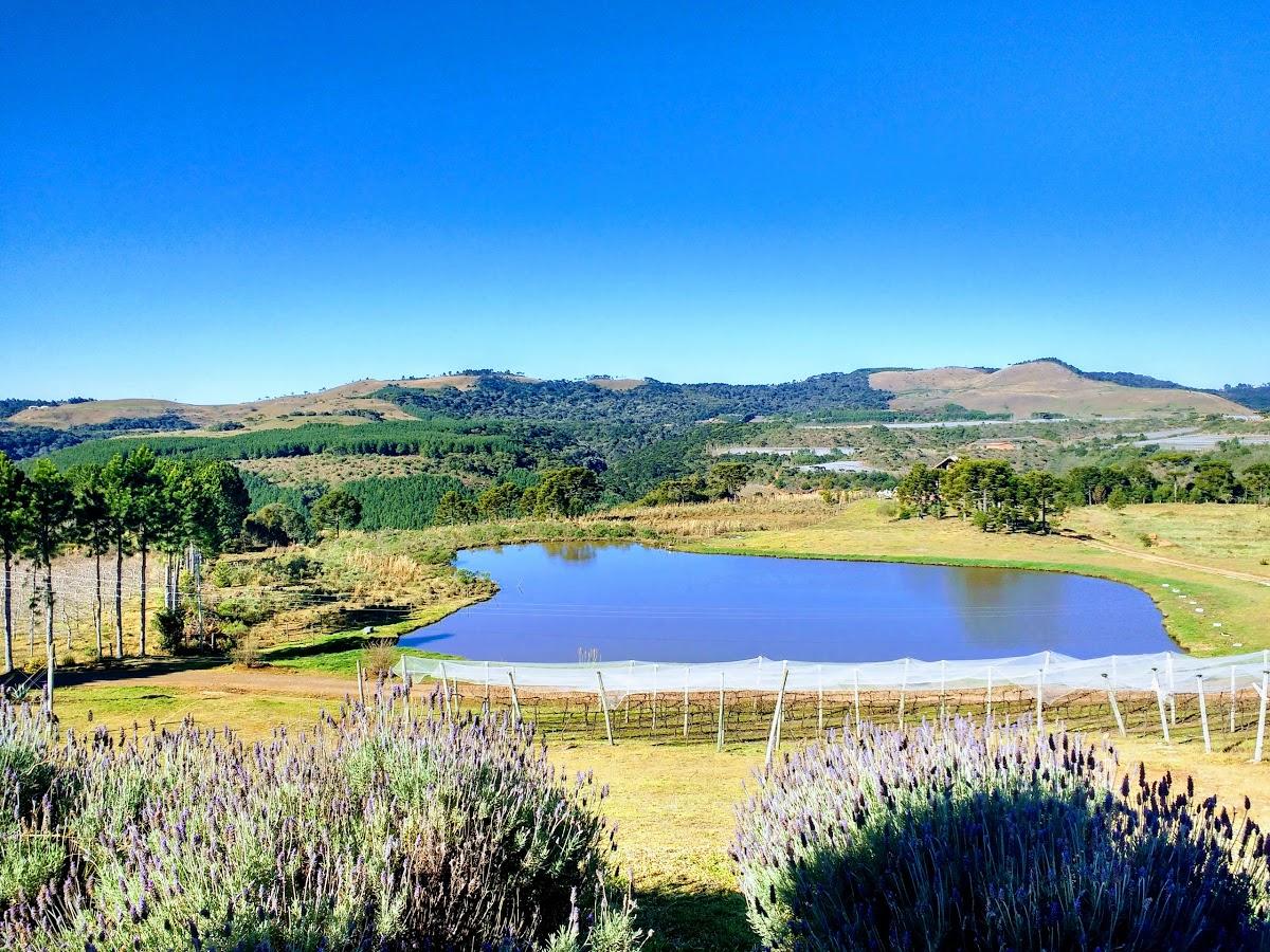 Registro de Marca São Joaquim