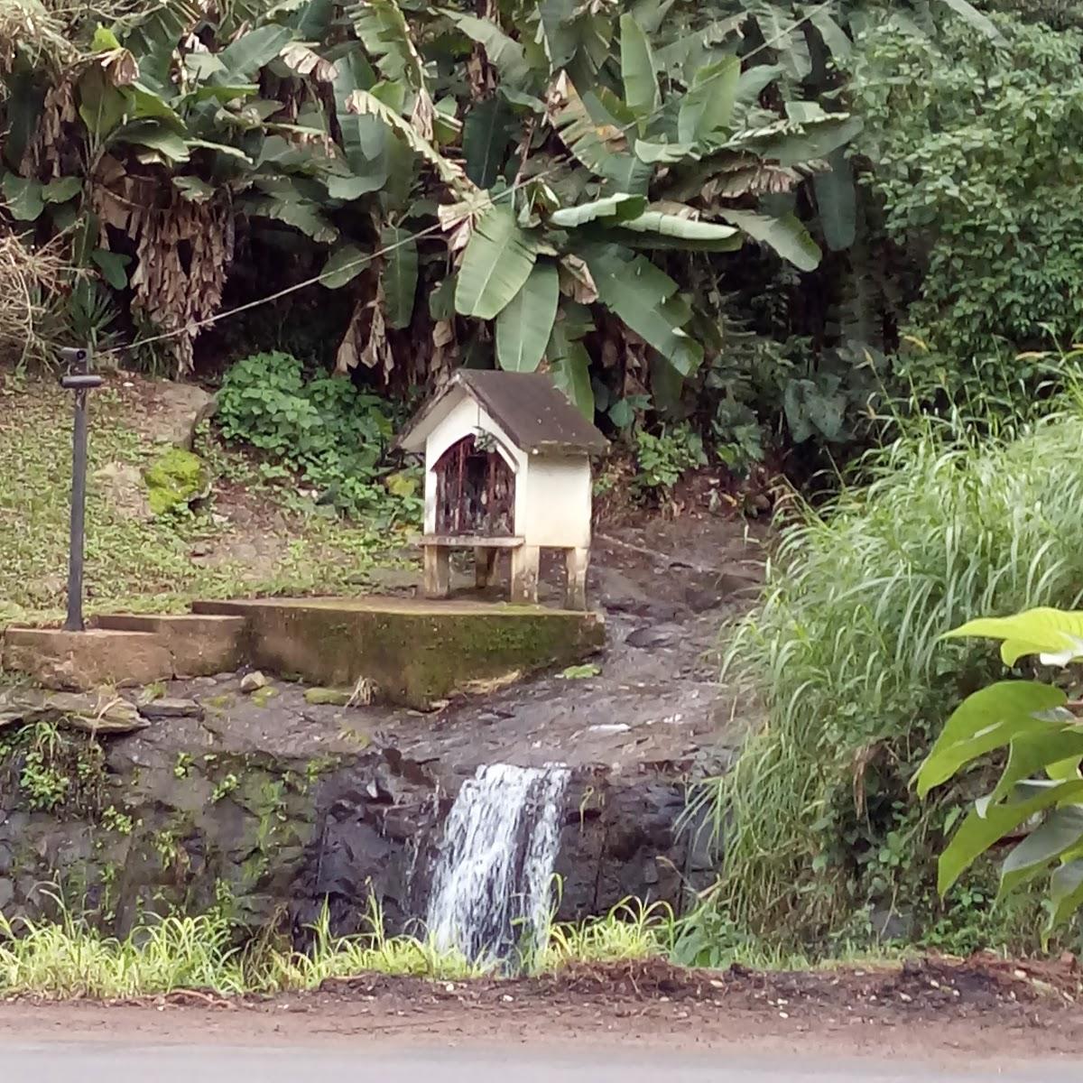 Registro de Marca São Jorge