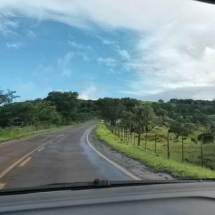 Registro de Marca São José das Palmeiras