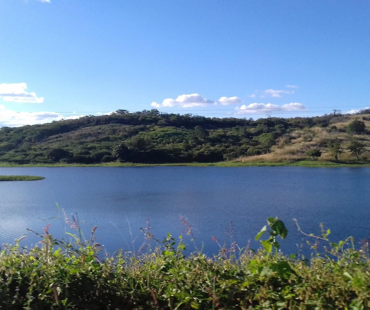 Registro de Marca São José de Caiana