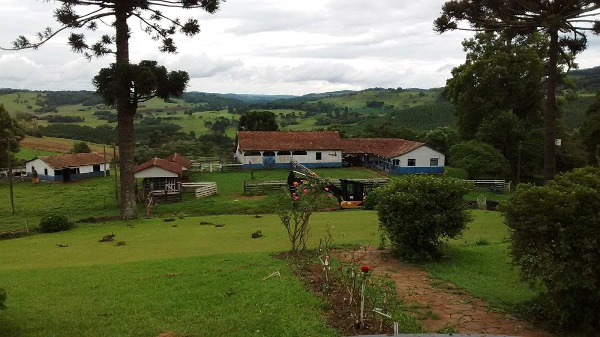 Registro de Marca São José do Cerrito
