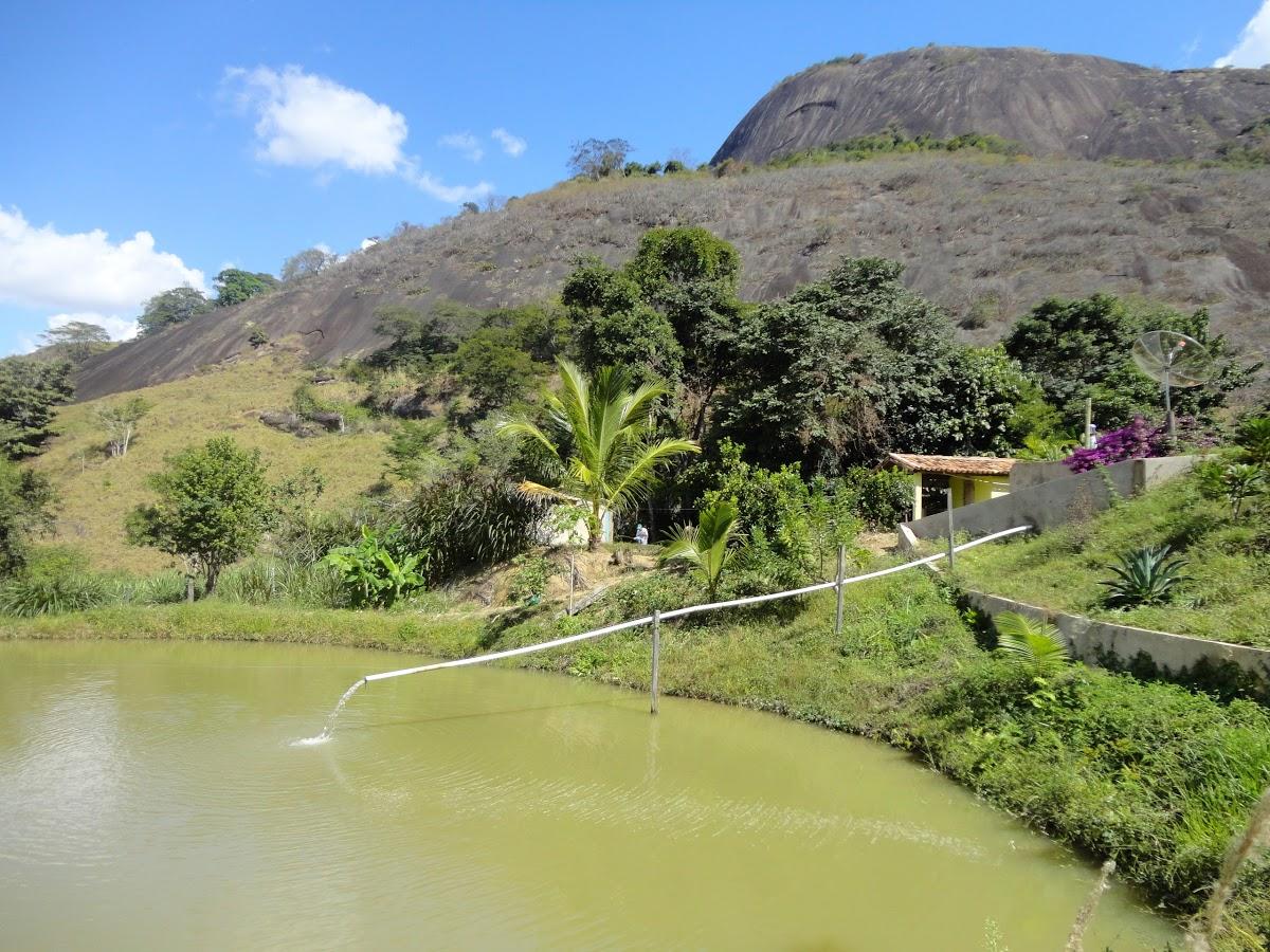 Registro de Marca São José do Divino