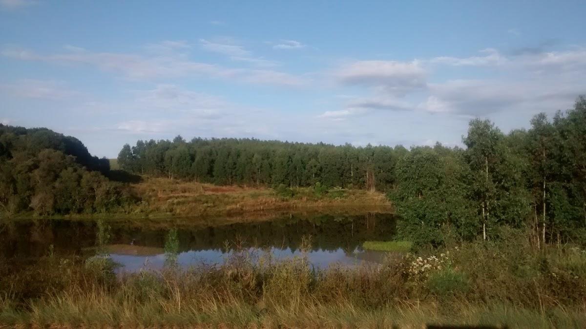 Registro de Marca São José do Herval