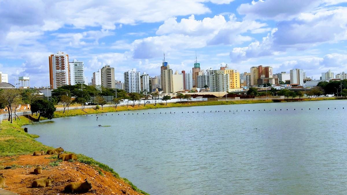 Registro de Marca São José do Rio Preto