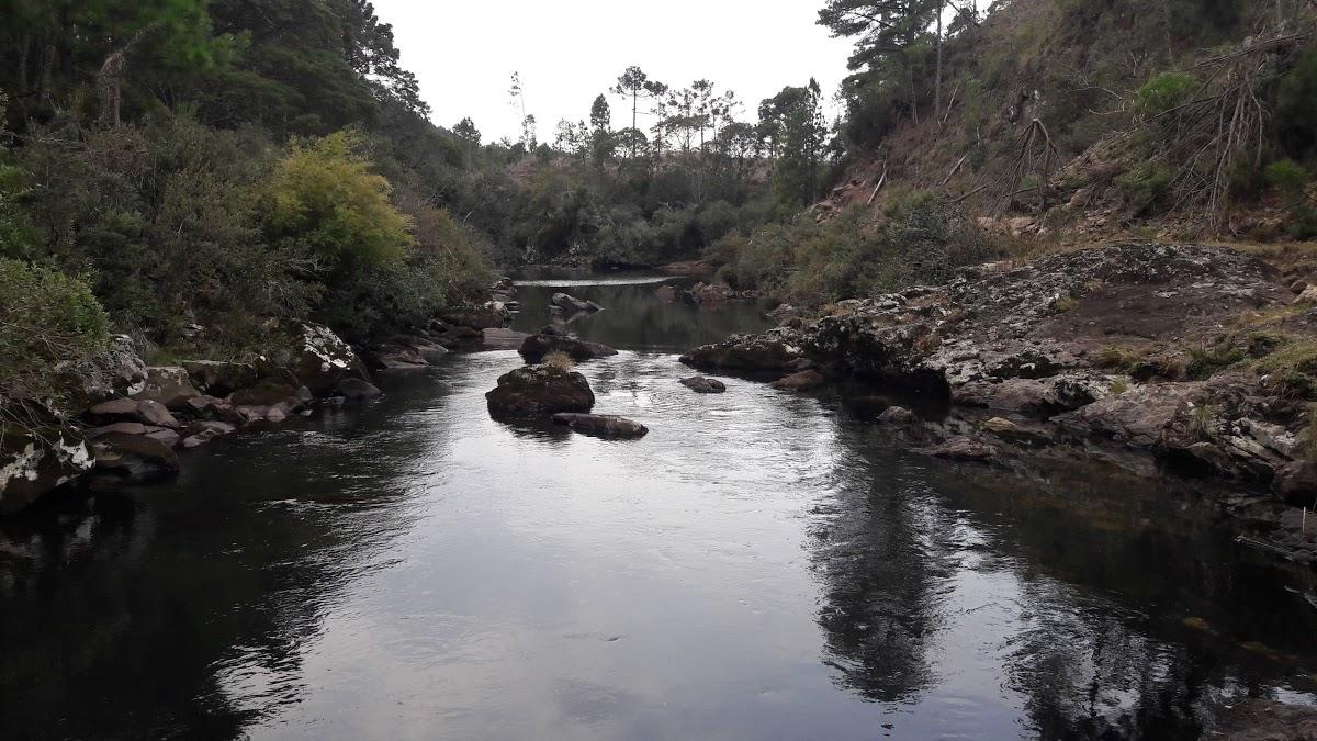 Registro de Marca São José dos Ausentes
