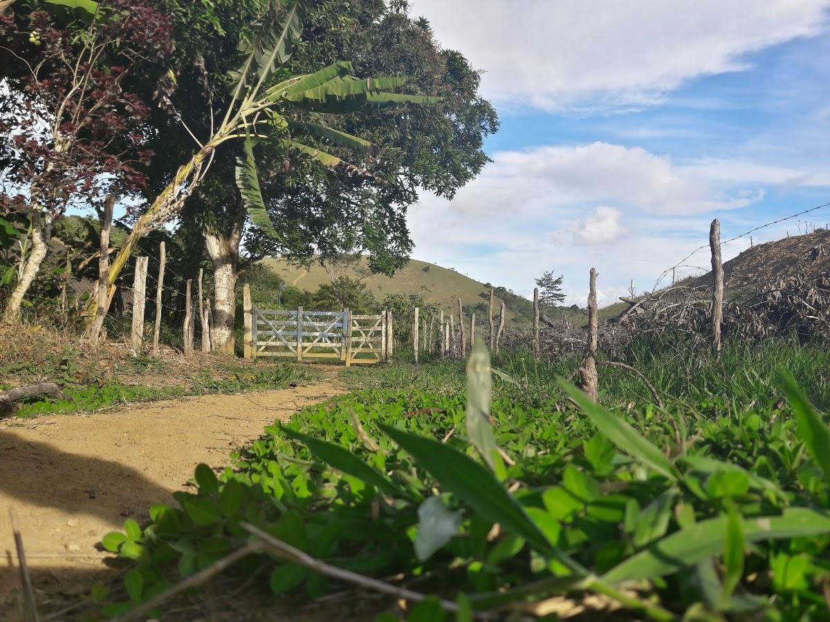 Registro de Marca São Miguel das Matas