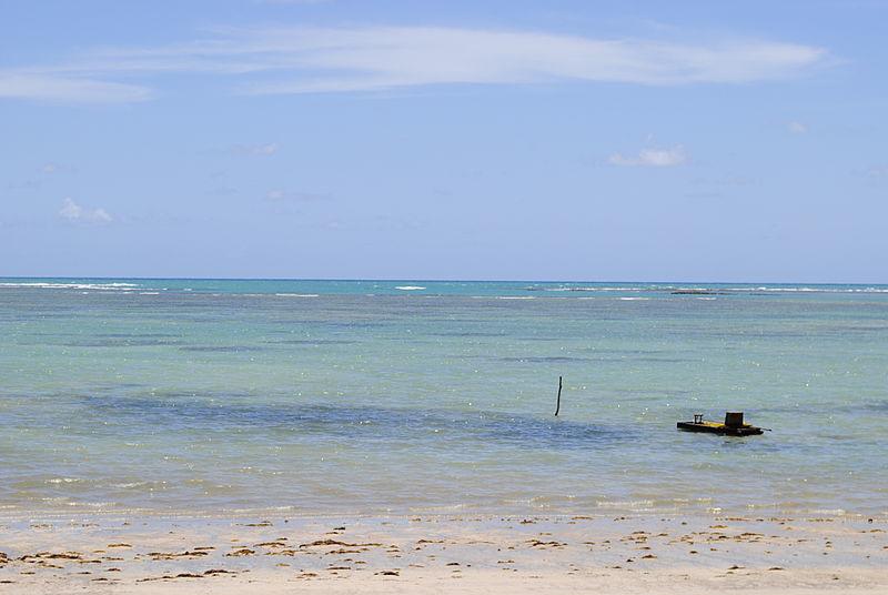 Registro de Marca São Miguel dos Campos