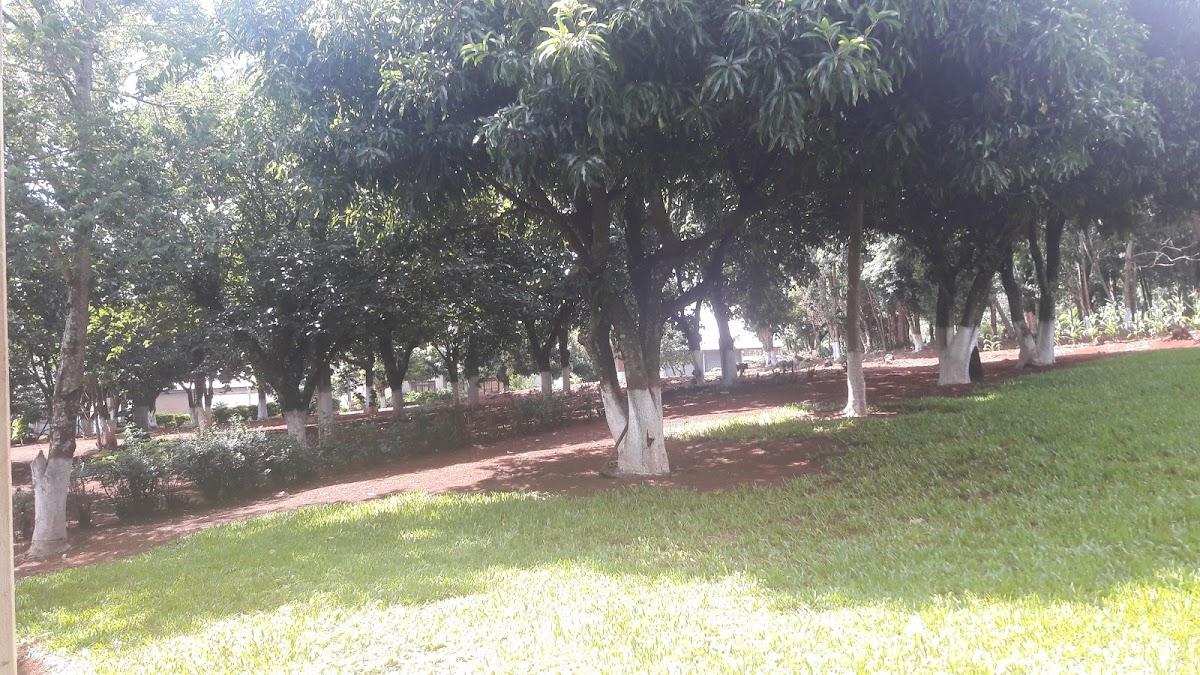 Registro de Marca São Pedro do Iguaçu