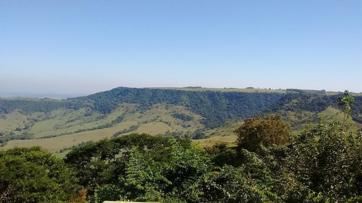 Registro de Marca São Pedro