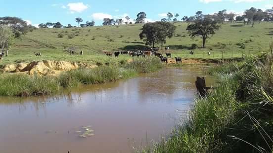 Registro de Marca São Sebastião do Maranhão
