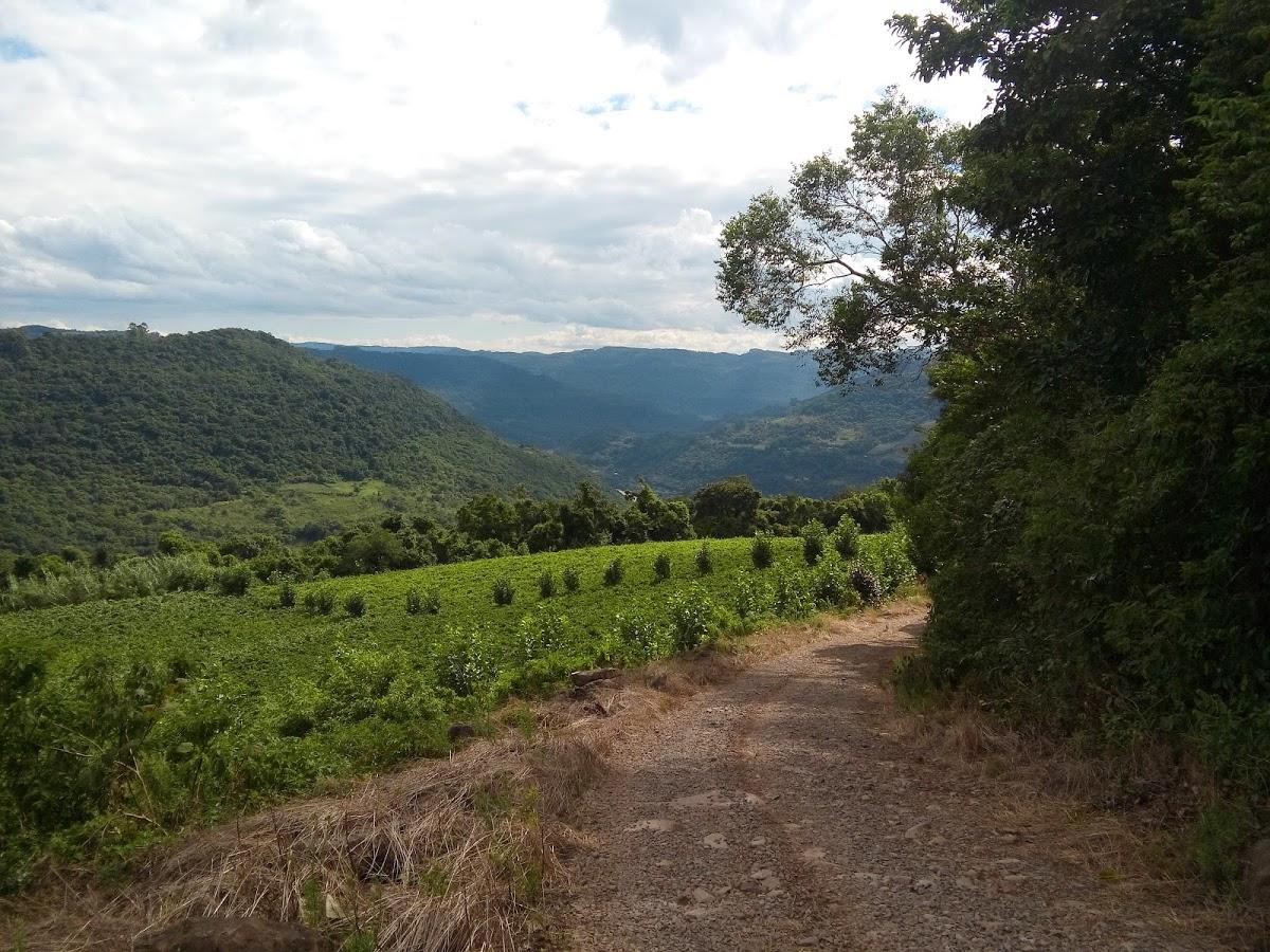 Registro de Marca São Valentim do Sul