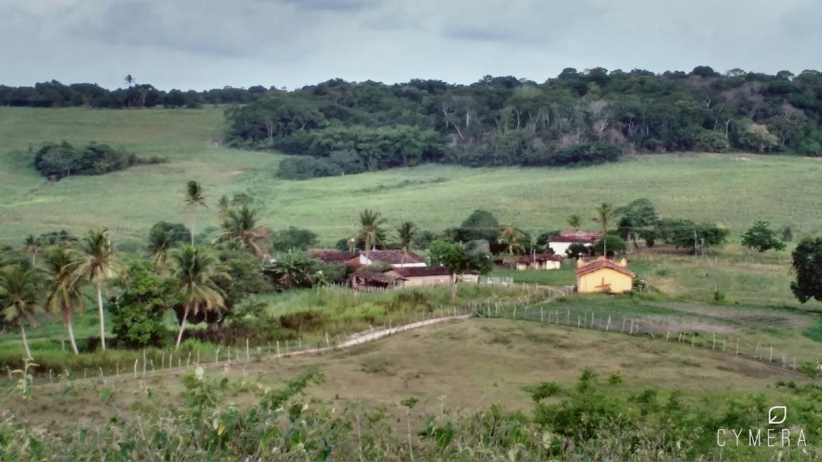 Registro de Marca Sapé