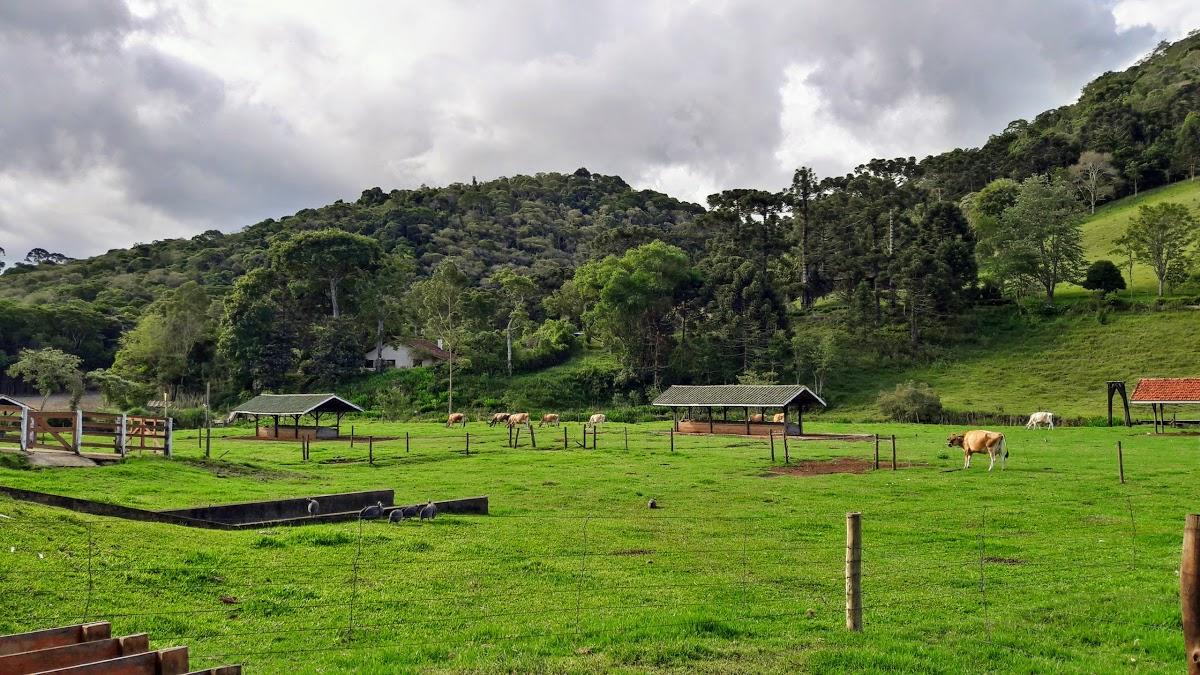 Registro de Marca Sapucaí-Mirim