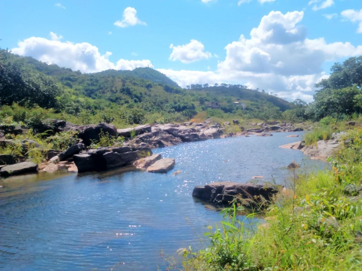 Registro de Marca Sapucaia