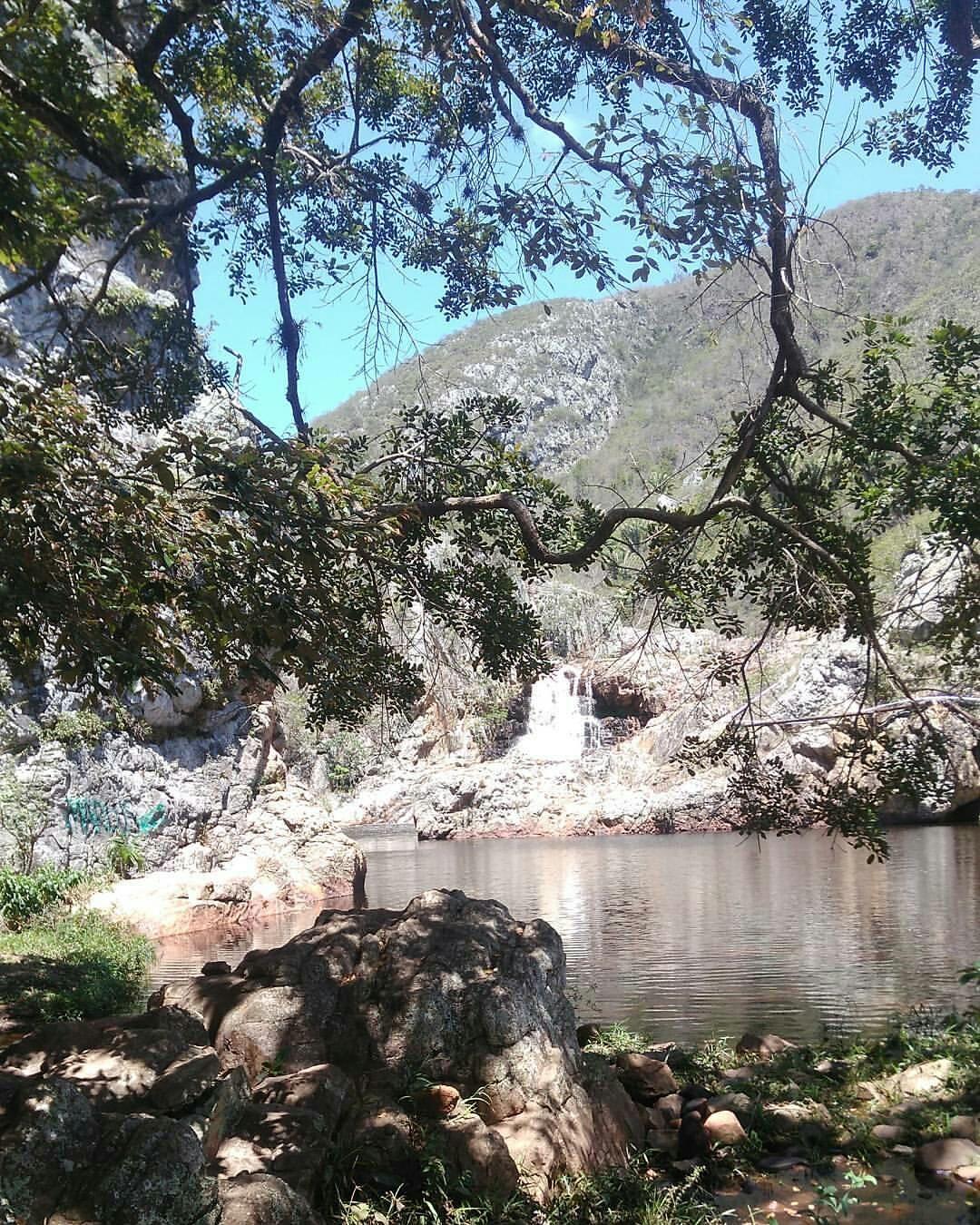 Registro de Marca Saúde