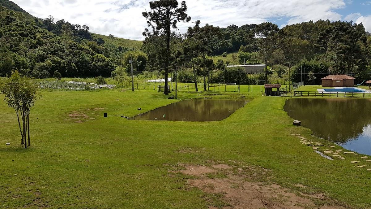 Registro de Marca Senador Amaral